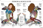 Exercise and Muscle Guide Anatomical Poster - Female